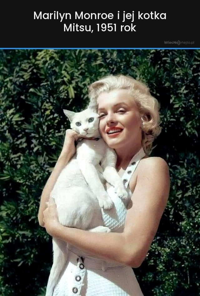 be59616a-f5ad-406f-b22e-1402f07e5400