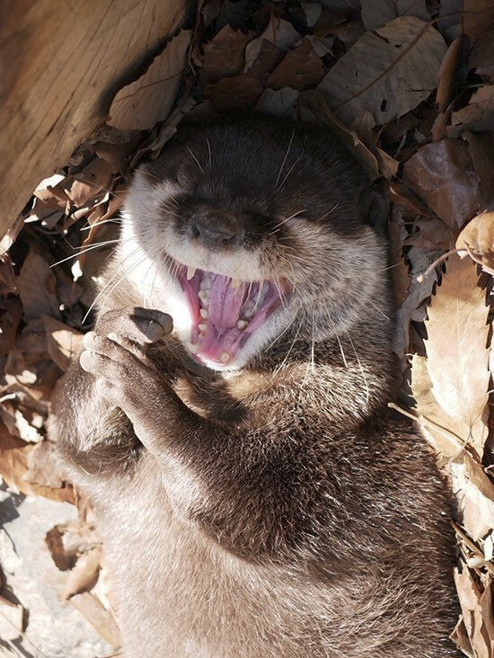 83e53425-0a24-4c8b-afe7-3e9a9cff0144