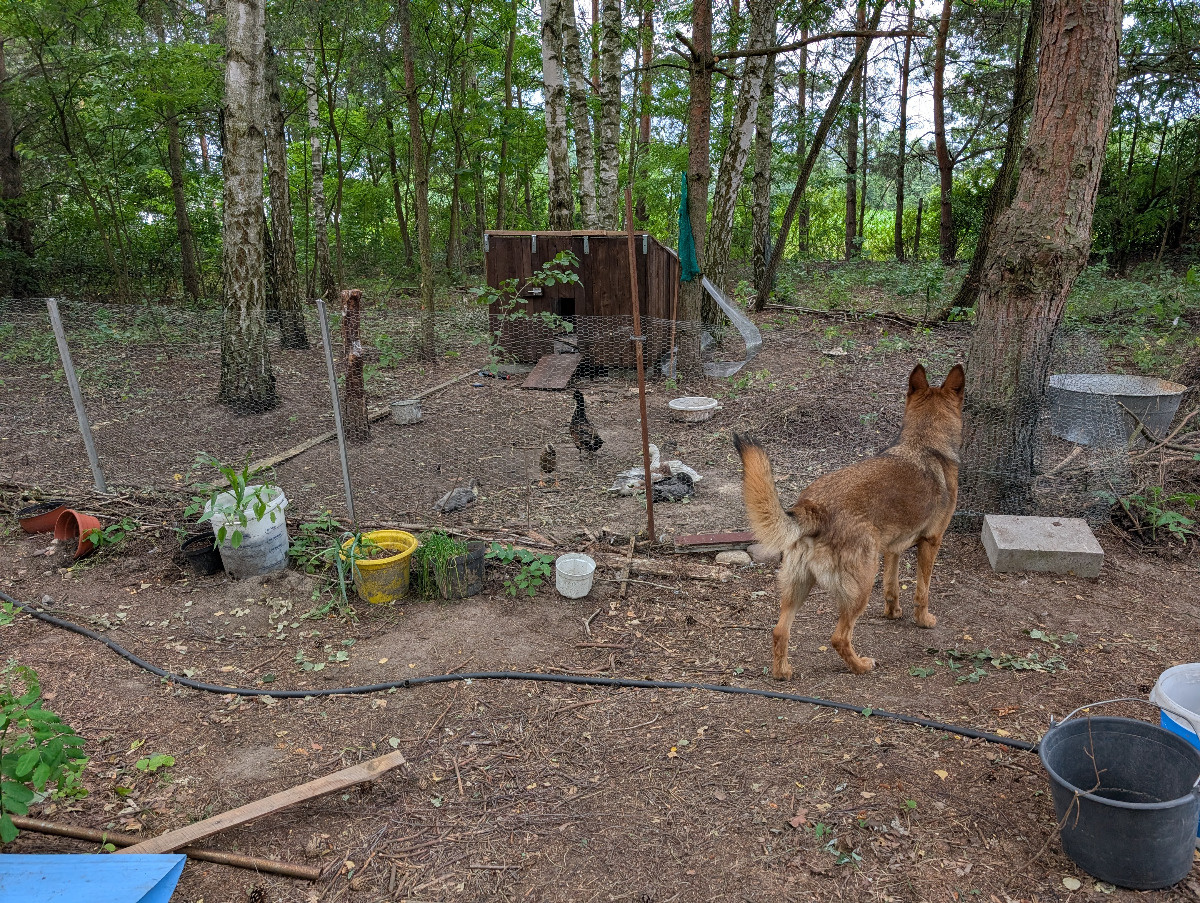 1b3582b9-e89b-4af3-bf7f-ea11829fcfd6