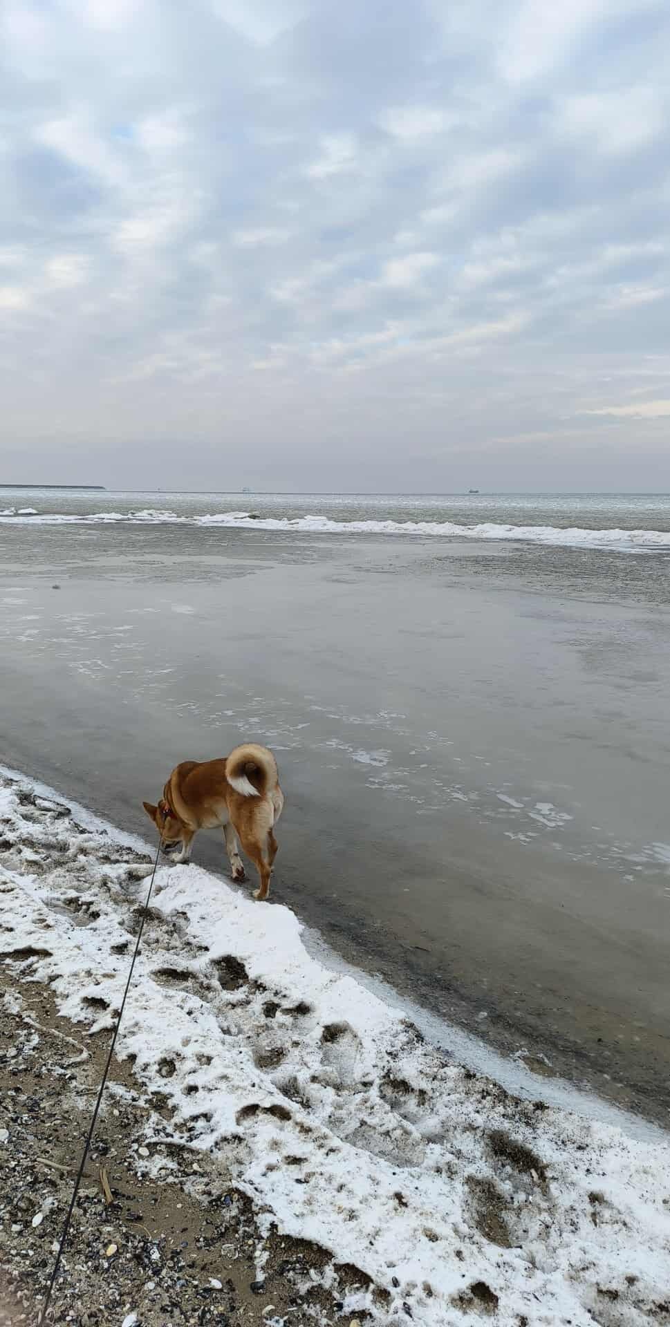 cf72f385-5eab-40be-96f9-139397318369