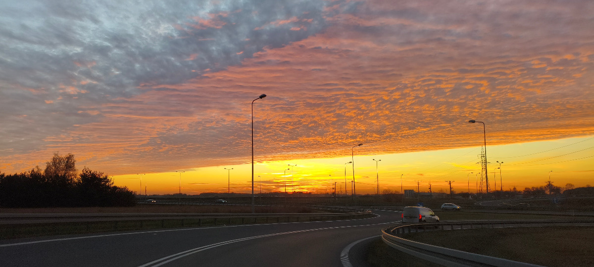 ce826c1d-4df7-480d-9252-2ea67cdfd0ac