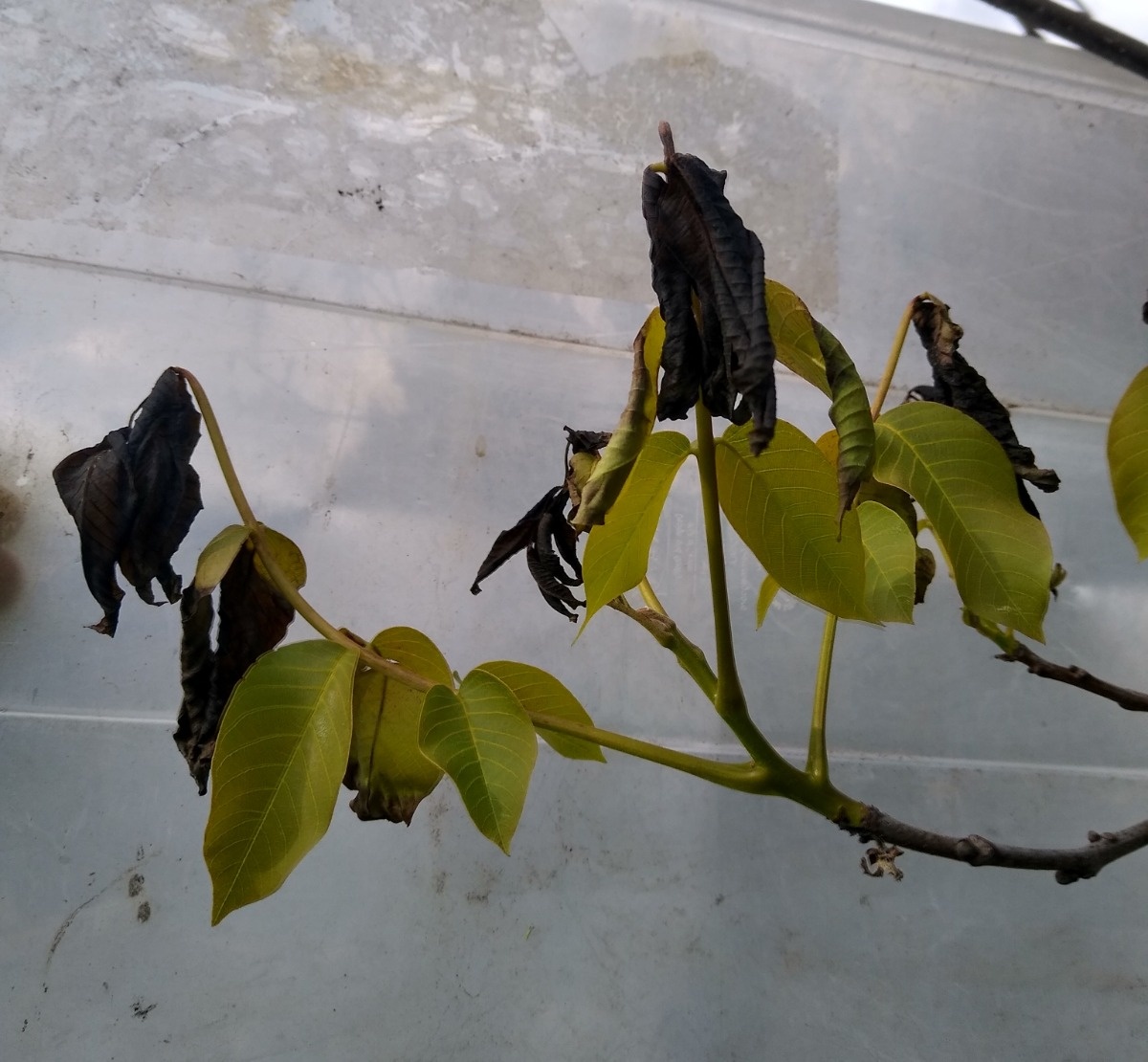 b08476f3-25c0-4fd4-b46e-48c36b252843