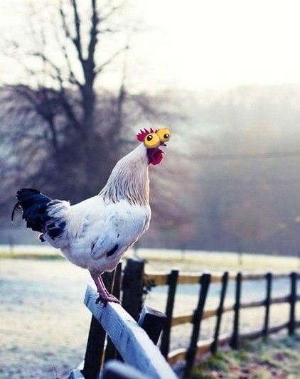 a466c3c0-c42d-4043-abfd-71e88aebfa3d