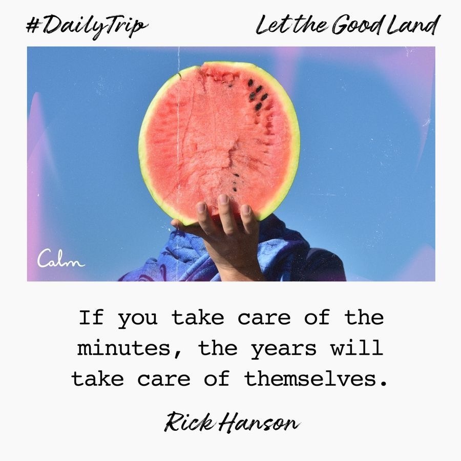 85d7232d-7338-42c6-875f-cac01730f56b