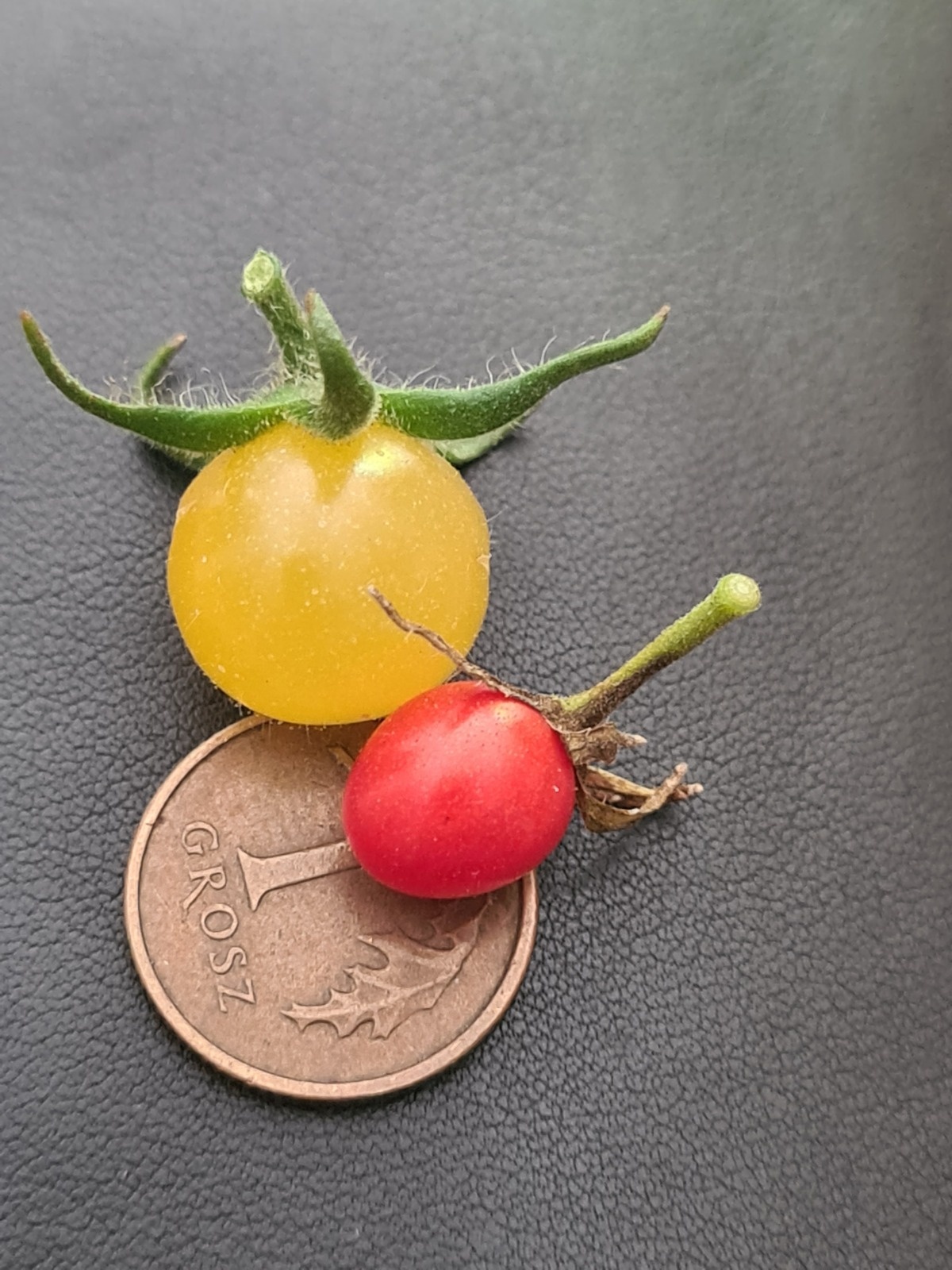 d83c80bd-fa25-4184-a40f-28b55781316f