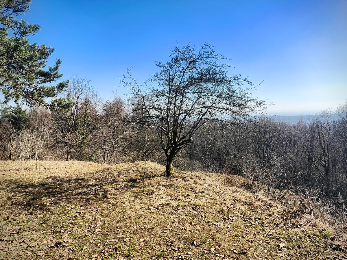 cc181fdc-0e46-4fa4-bbf6-3ae9de340147