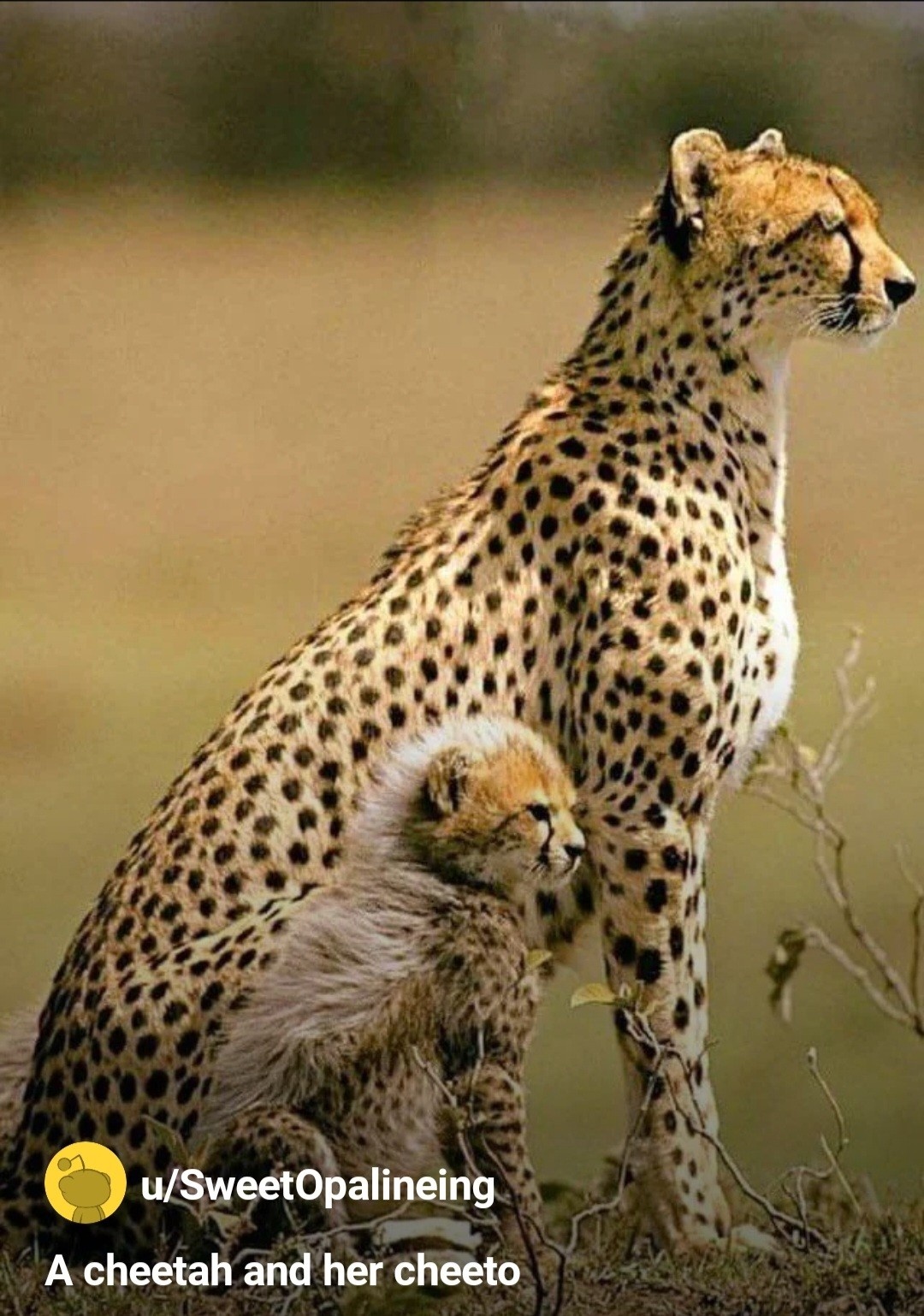 0b49d1f1-c184-4bb5-99fd-850a8deae222