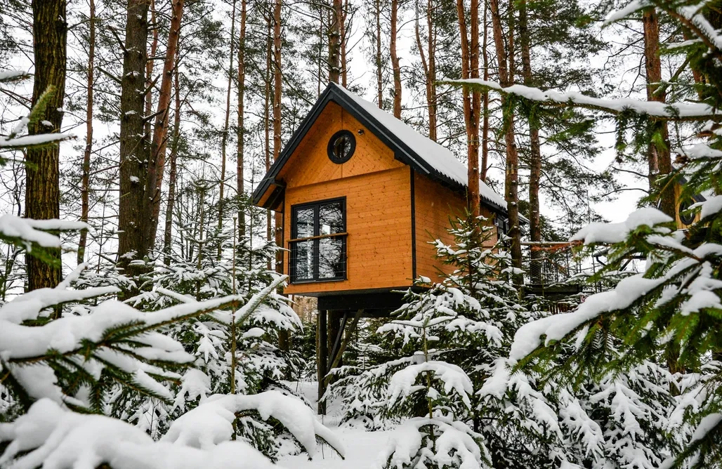 b8699506-911f-4389-9400-67de8417f906