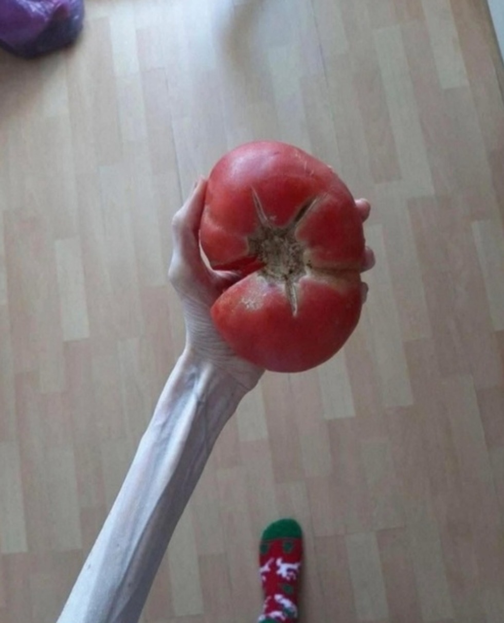 44f57804-cbf2-4422-bcc9-fbb125ad2420