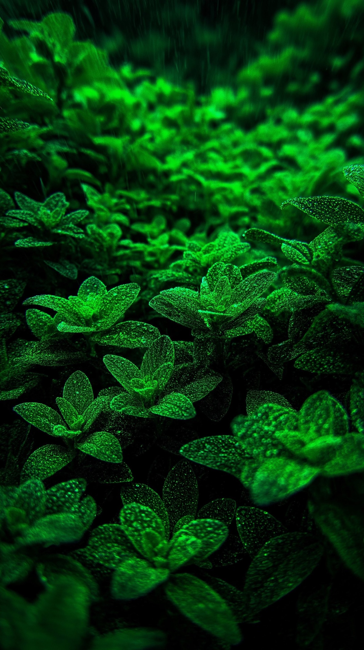 4aa09618-7e16-403c-8663-d1ee0bac765c