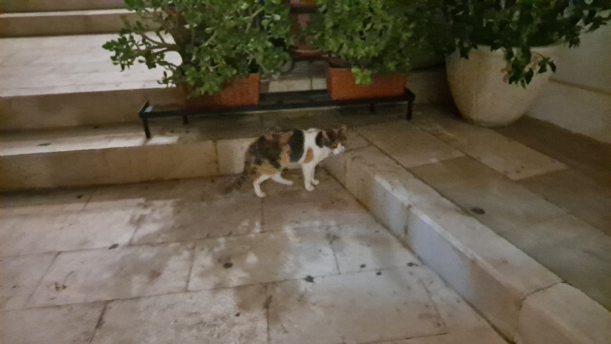 9b27b832-8cca-47b0-b742-fb5aeeec8a68