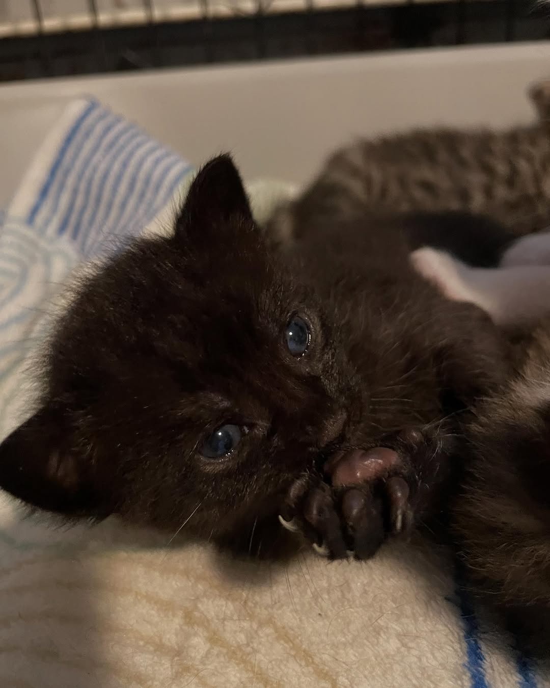 676a93a0-266d-4766-9efb-450142151680