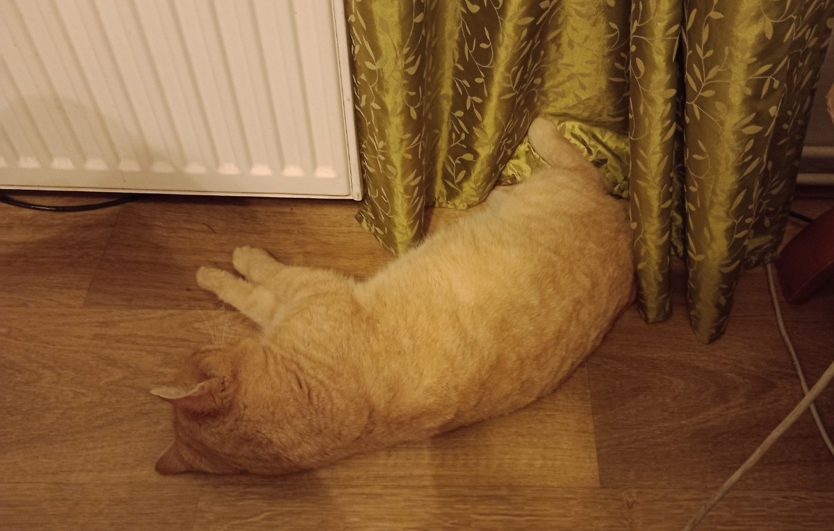 f97bc7ac-0331-42ca-8e28-3bfdd64153c0