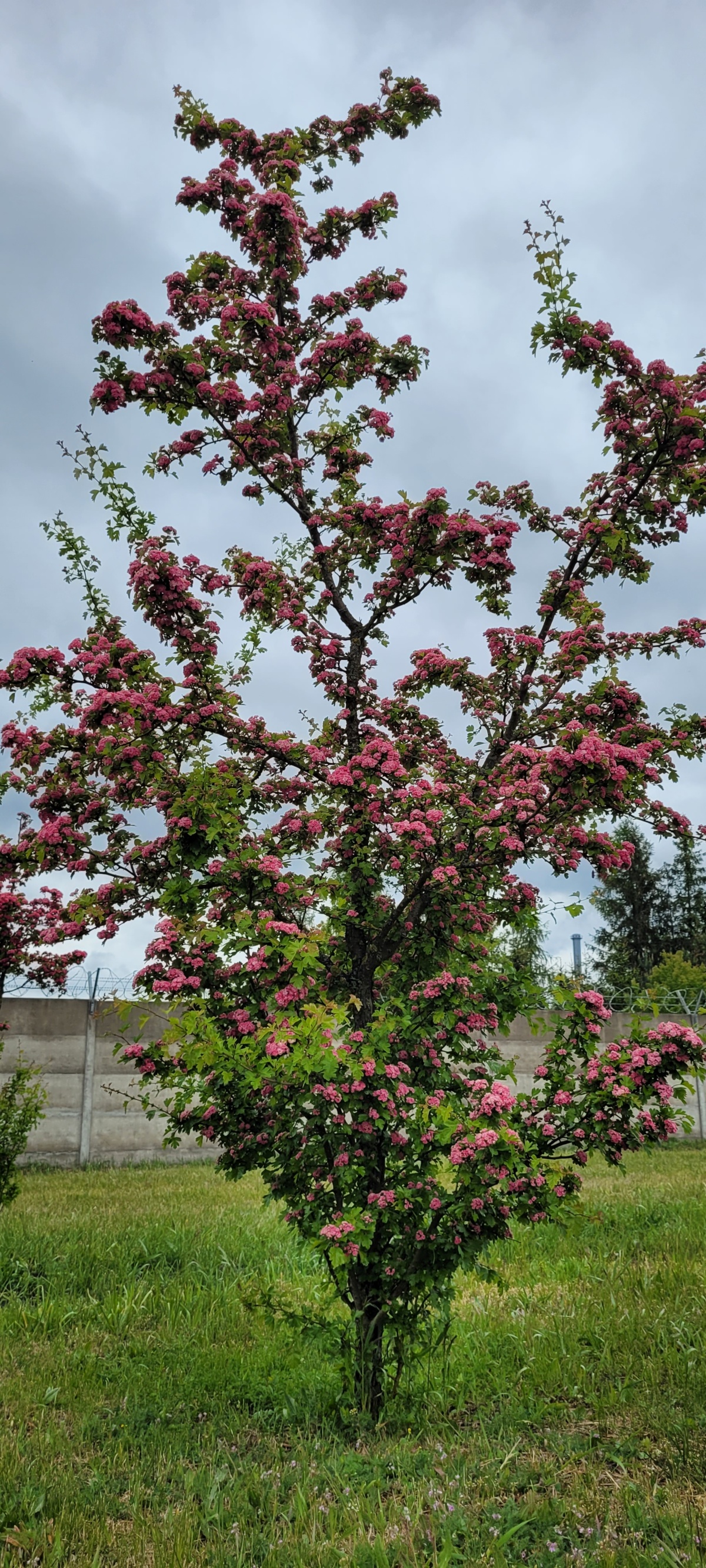 53758d49-64b9-4fae-872c-6ca2c68f2298