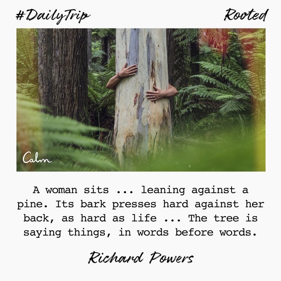 1fb0f5e6-b42a-4029-b83c-ebc370b80cb9