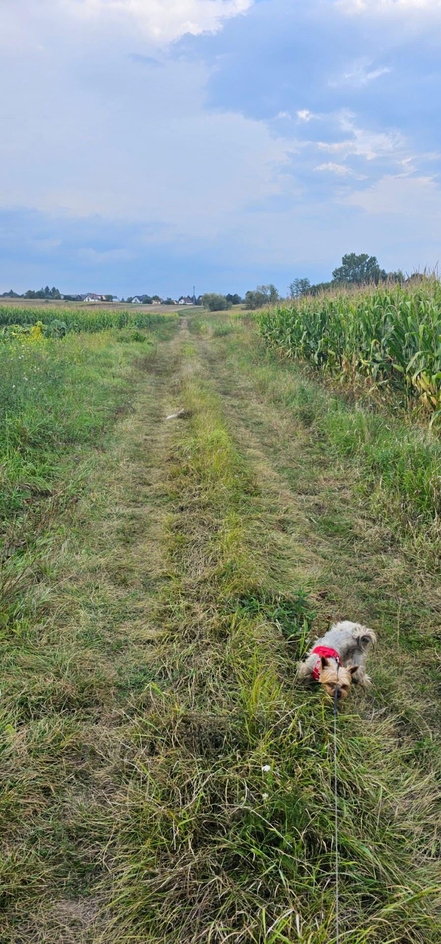 0c413924-e2df-41c8-a6fe-d45a710d1387