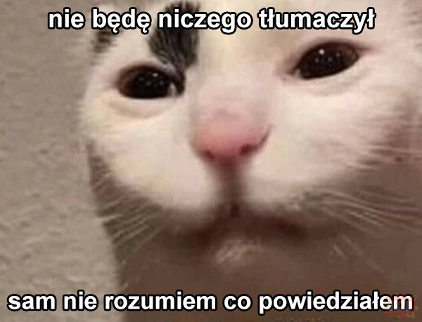 3ab56d5c-d7ce-4667-a44d-d9a5d53c25bf