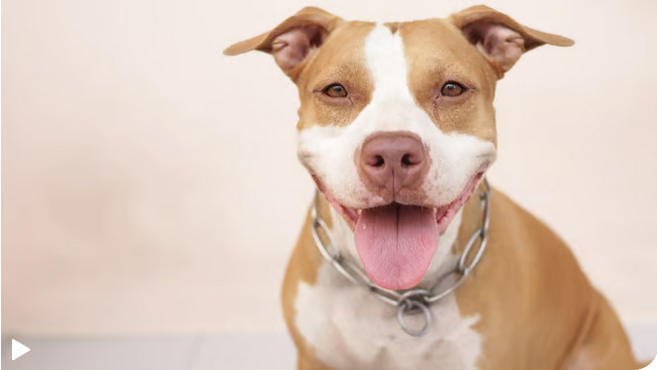 83f16ecb-b037-4148-baaa-1cbb90fe3b9a