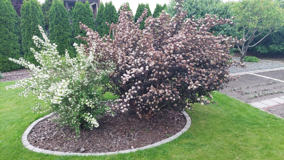 2ac3c5e9-b090-4a3a-8617-7983e8a70a0d