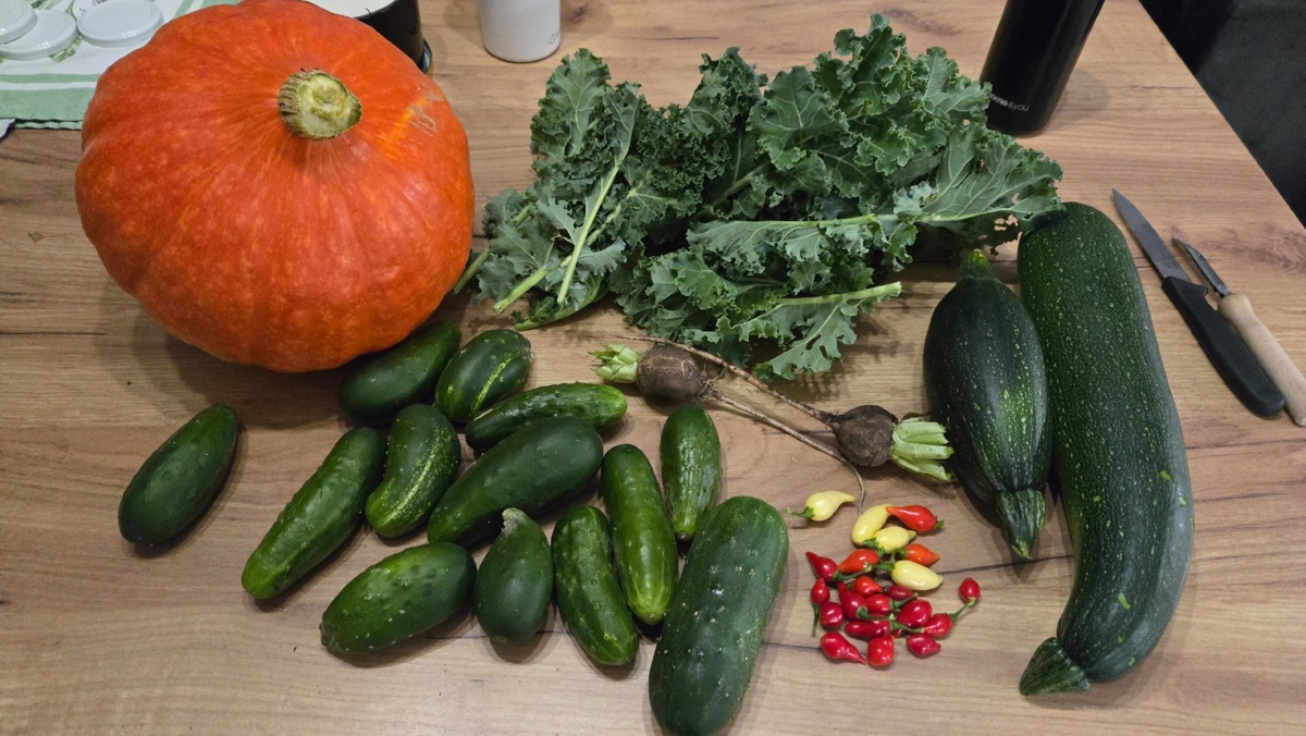 8fe49f37-9e49-4f31-9ffe-a6f3ce6ce204