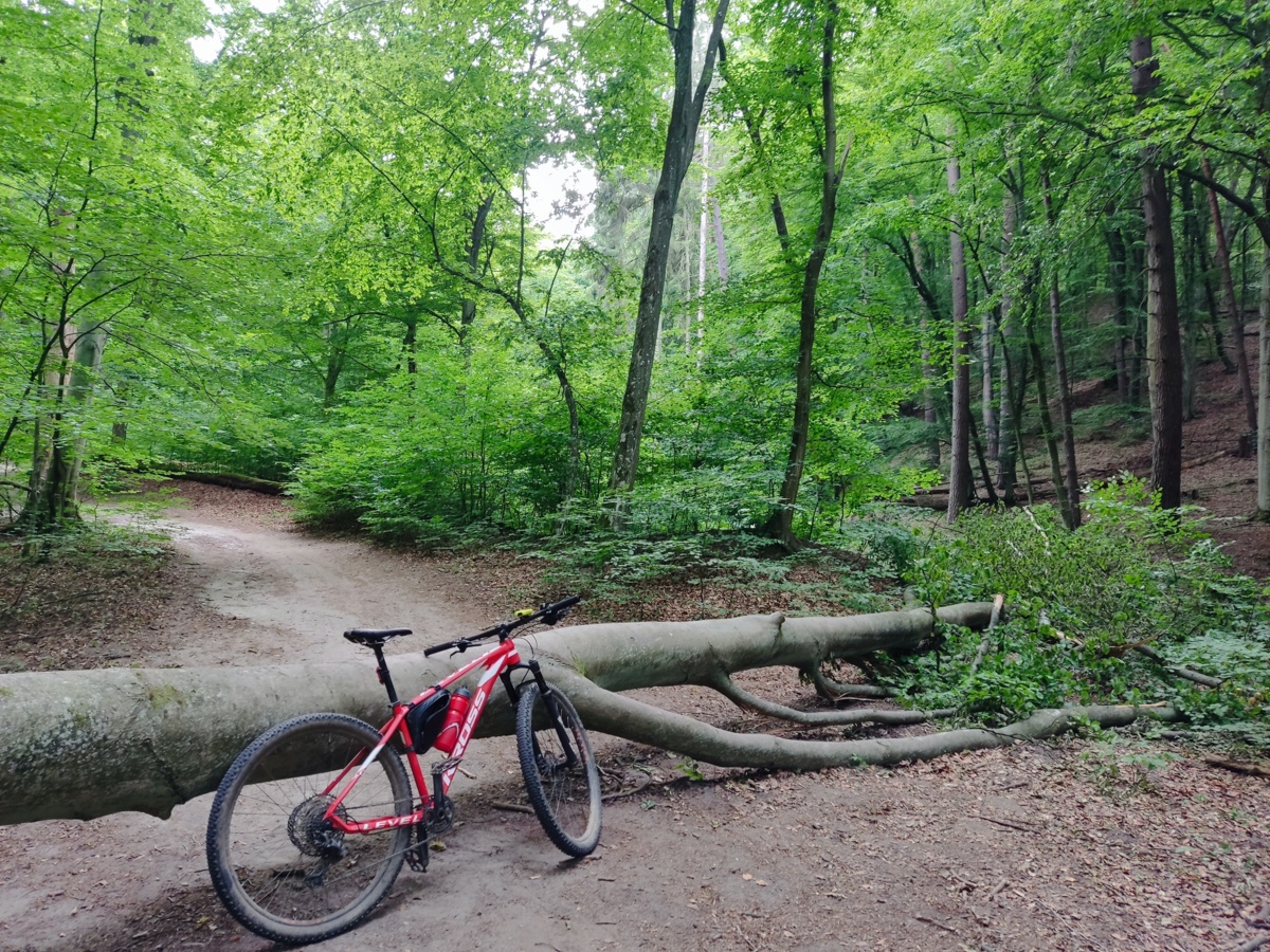 3a603ba6-e8b4-4d52-b954-f9feef3c2d16