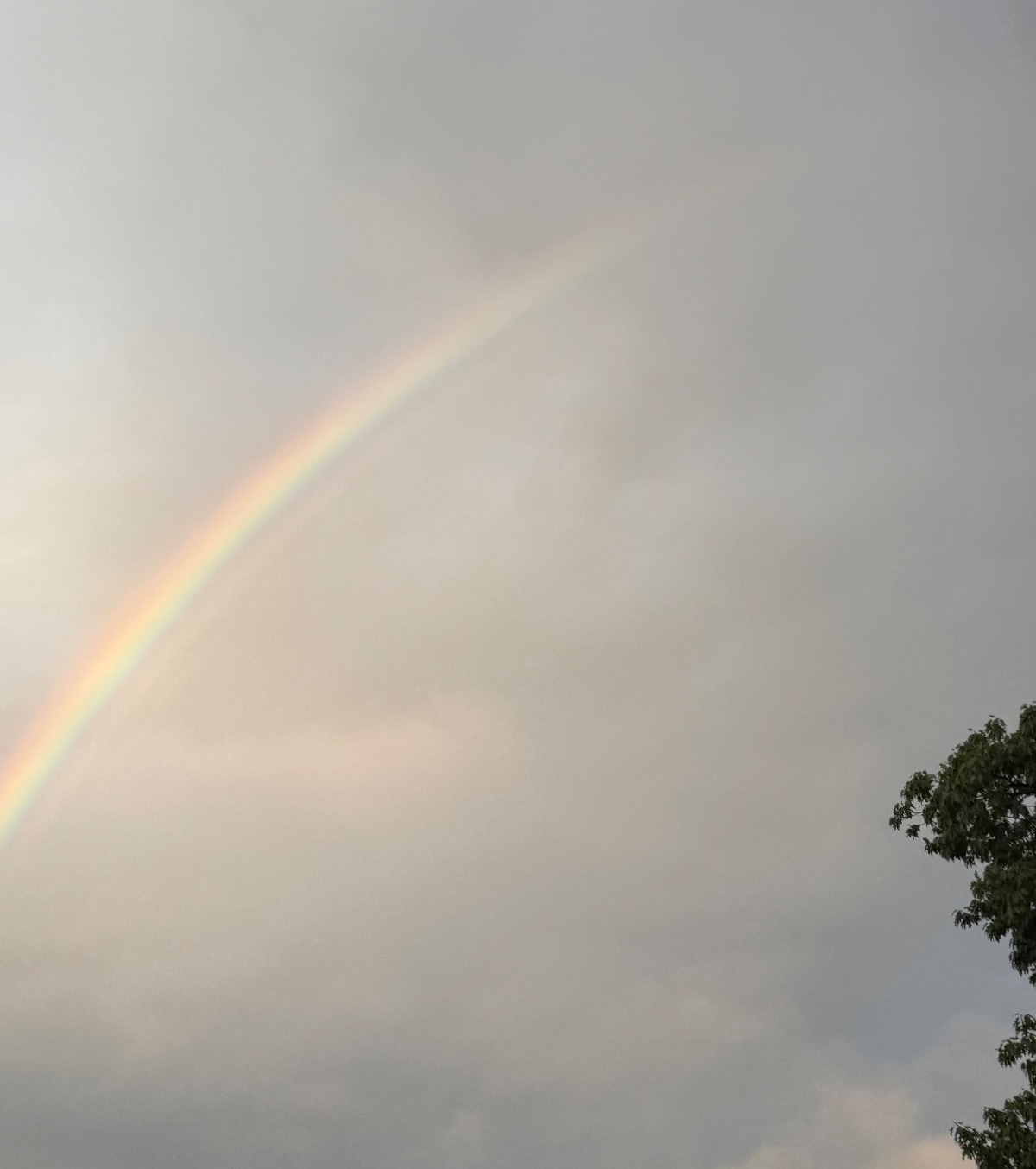 4ac5058b-fc38-458c-9572-35f1b671c2b4