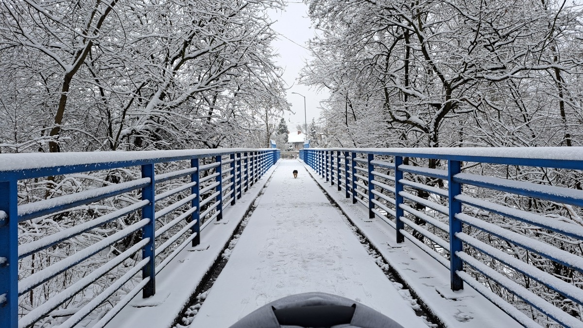 48975dec-0b76-4756-8d66-2f033693ddb5