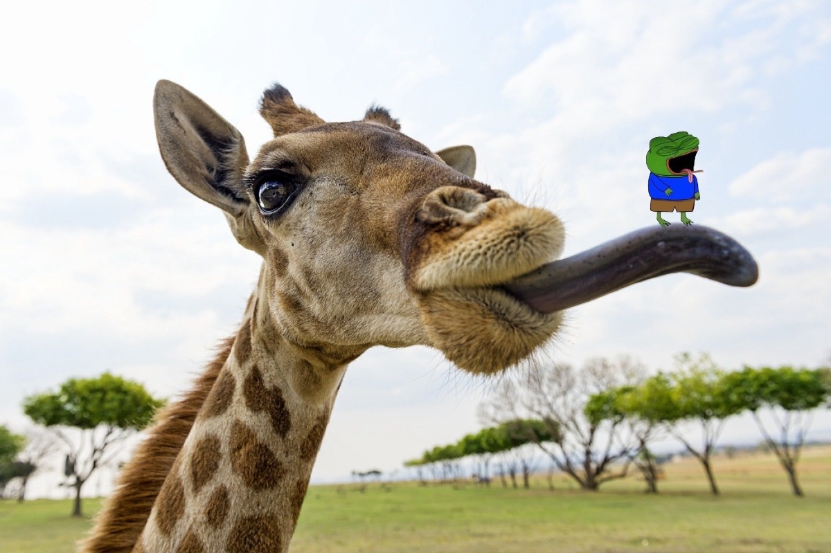 fd4140a0-66e6-4bb7-81d0-4c7fe1ea8d53