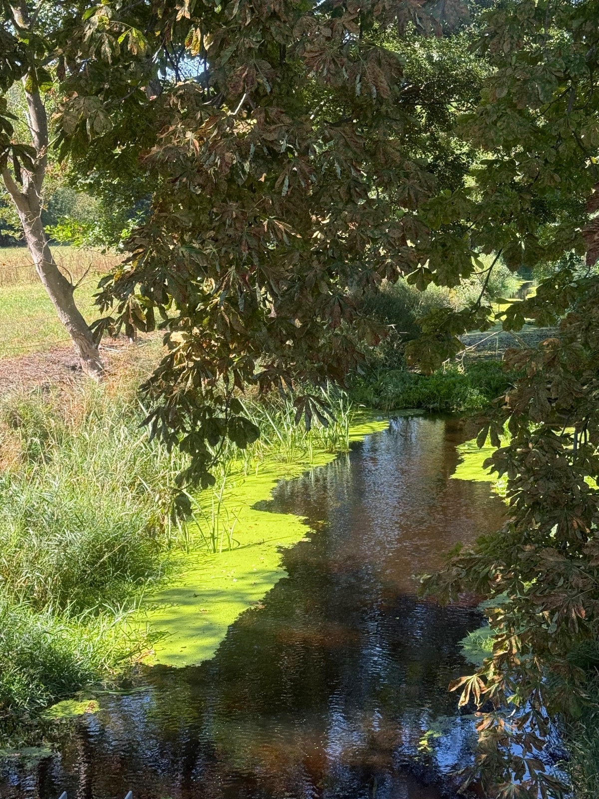 5a152a82-b5b6-4683-ba45-d1db235d9779