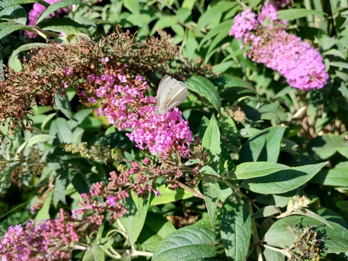 63921603-3efd-432a-ba50-9c80b556c68e