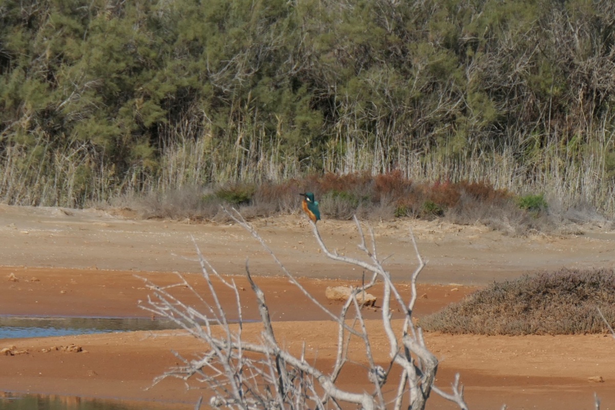 07f72610-39f5-4db3-90b4-d584297328b6