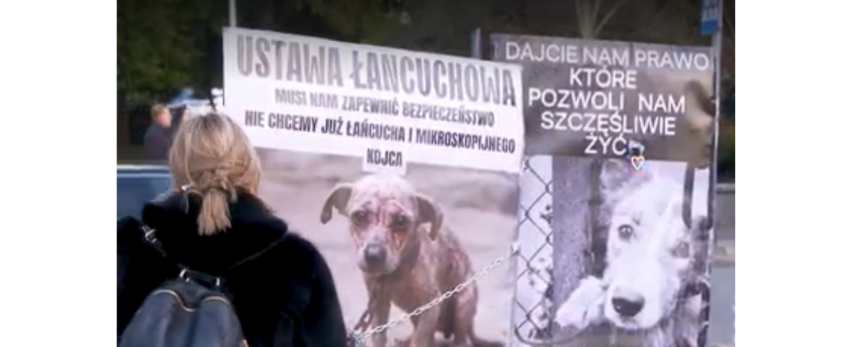 Sejm zajmie się wetem tzw. ustawy łańcuchowej. Zdobycie większości jest mało prawdopodobne [NASZE WIDEO]