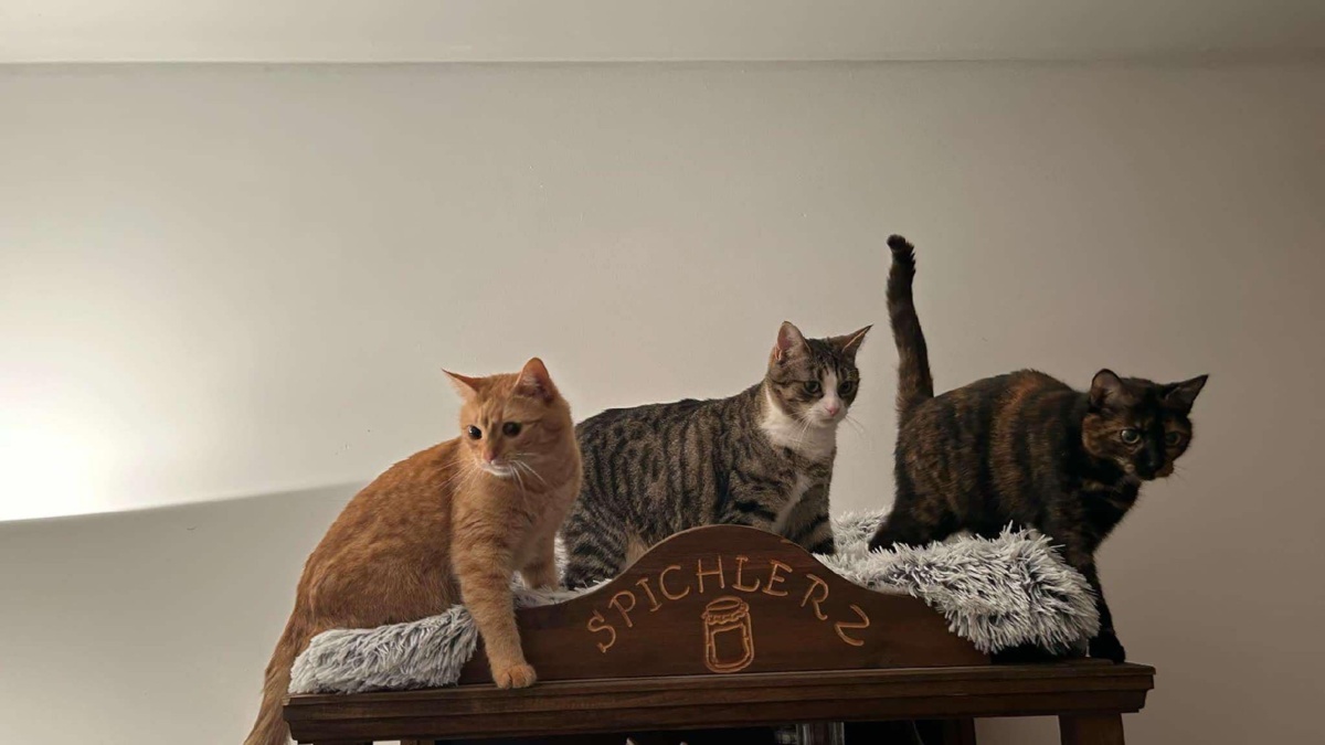 8879c365-e2f3-4511-8ff8-7bcf5453cd7e