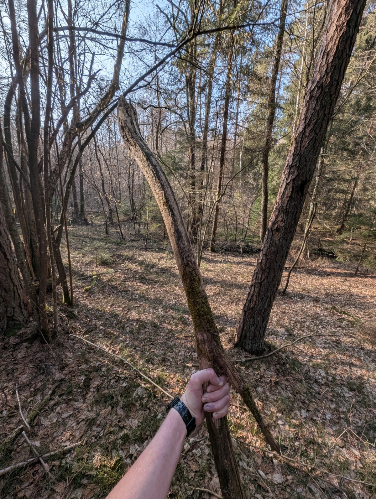 5b9d306c-0381-4a2a-8728-a0f62726b2ac