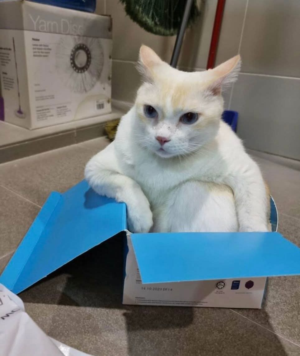 225ddda1-c459-4d37-bef2-837afa45d6c2