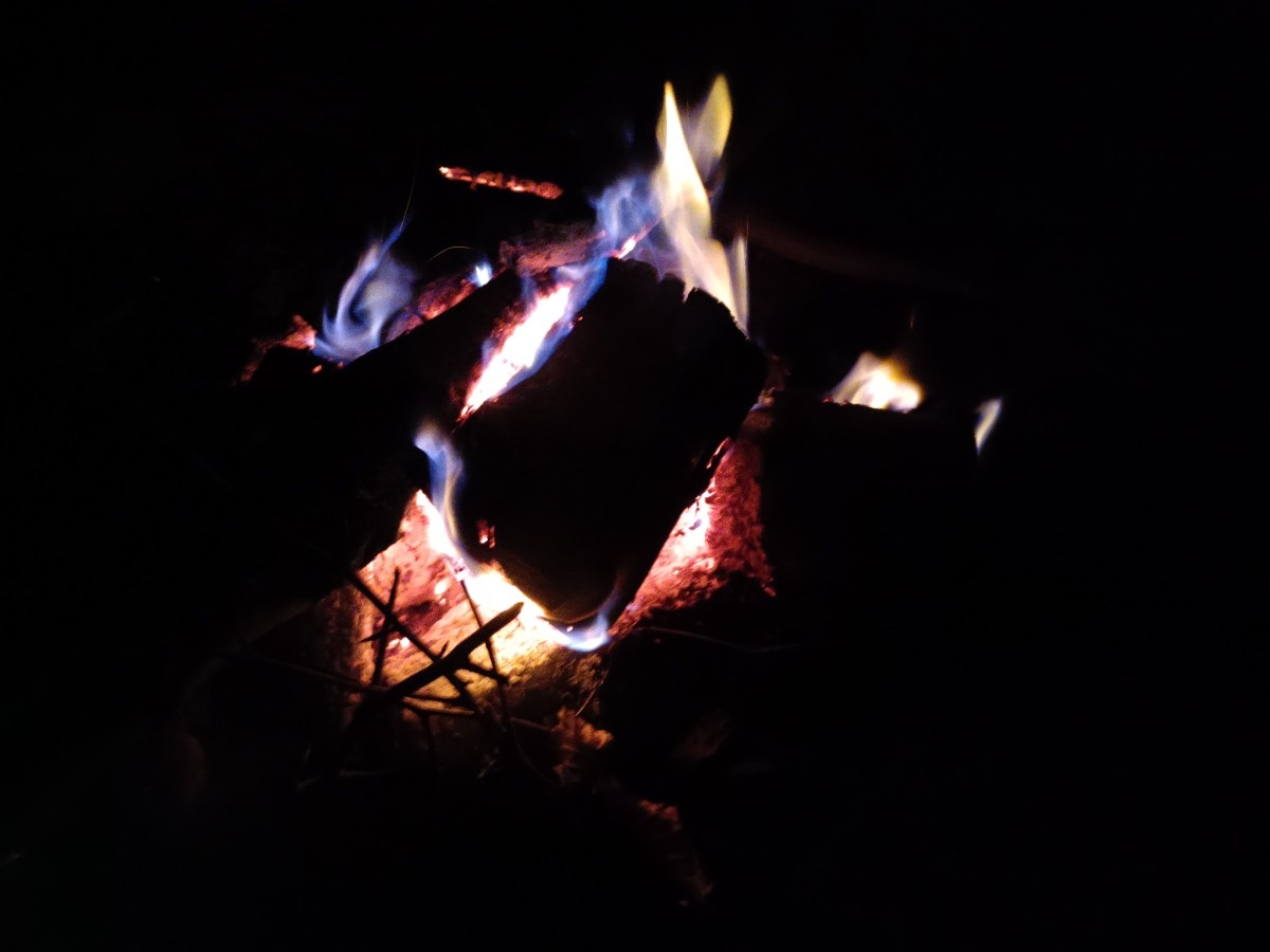 caf32d60-5553-4777-8c0c-0248b87a4efb