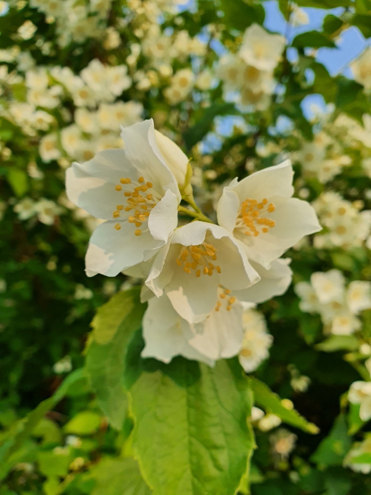 95398434-9e5e-4987-95f4-0312b03d2e56