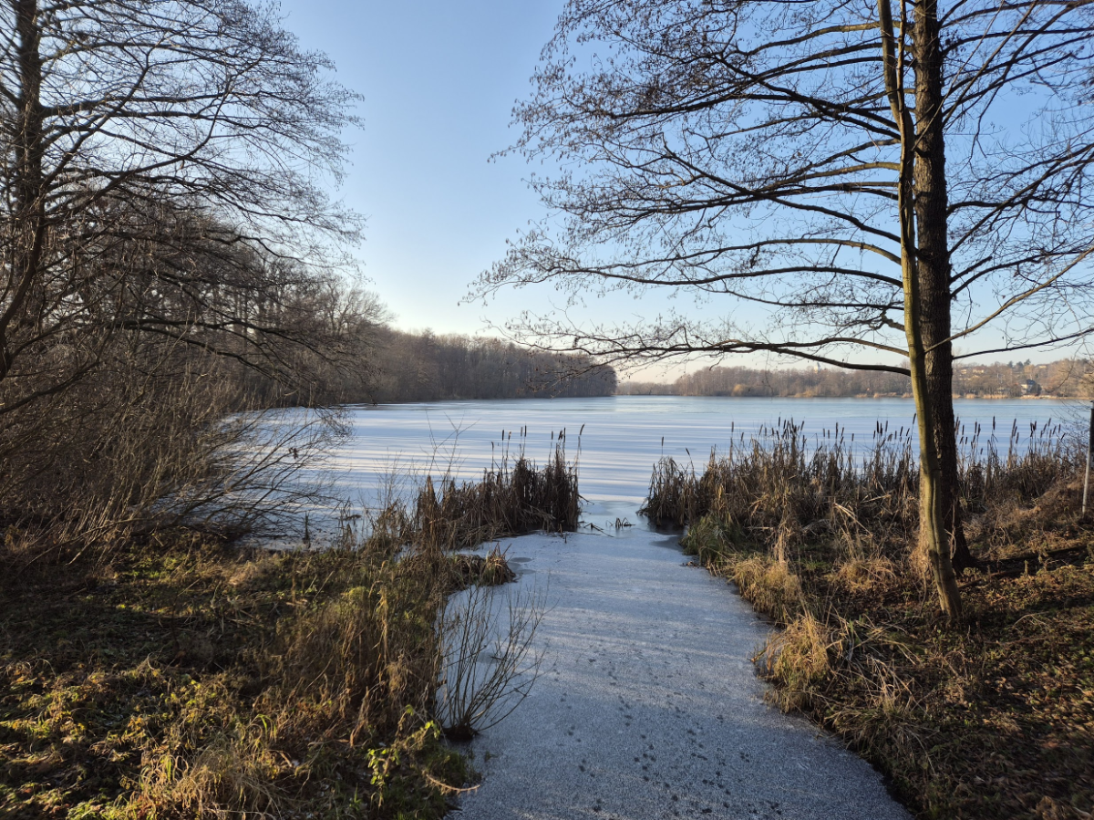 4d7beac2-a39c-47ba-bed2-994407ca2552