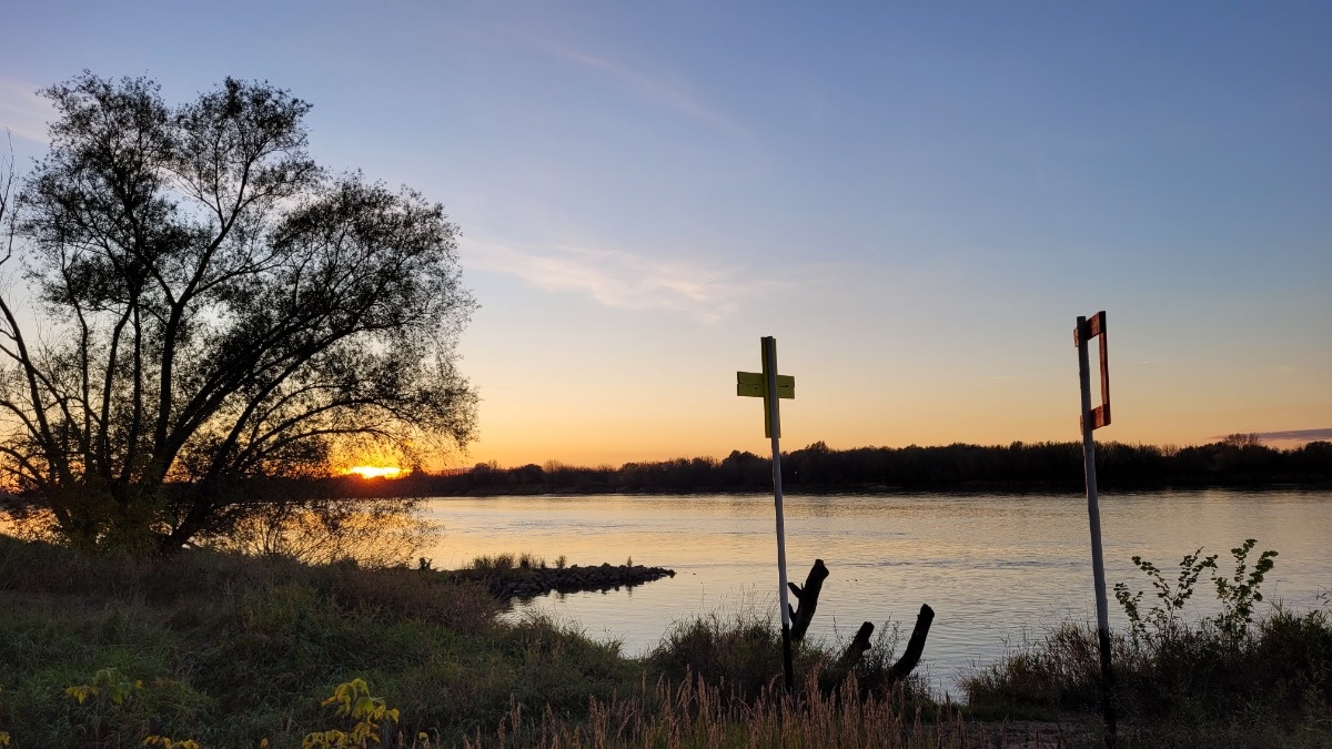 d572897d-1b02-40b3-bef5-8939df63b7b4