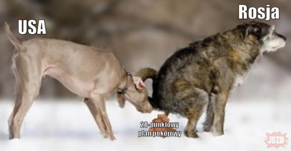 87fcd99e-35ba-471b-926e-81a2d96b11ff