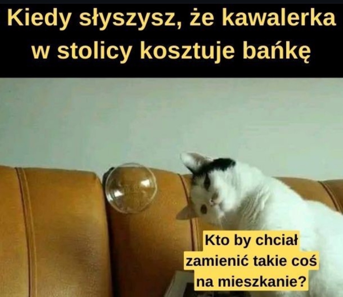 04089474-bffe-4a00-995e-4bb8681dcdfc