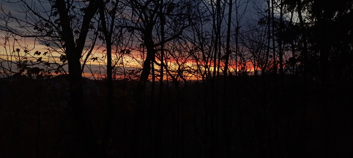 10c26da8-1c8b-40f6-851d-c0d0f315e95b