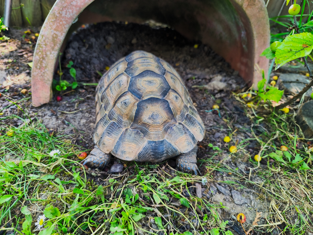 69cb185d-c6ab-4c16-8bc8-e88cfc367cd9