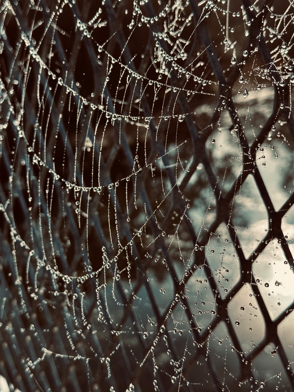 b551a936-4f84-4b2f-8843-a09ee273b6cb