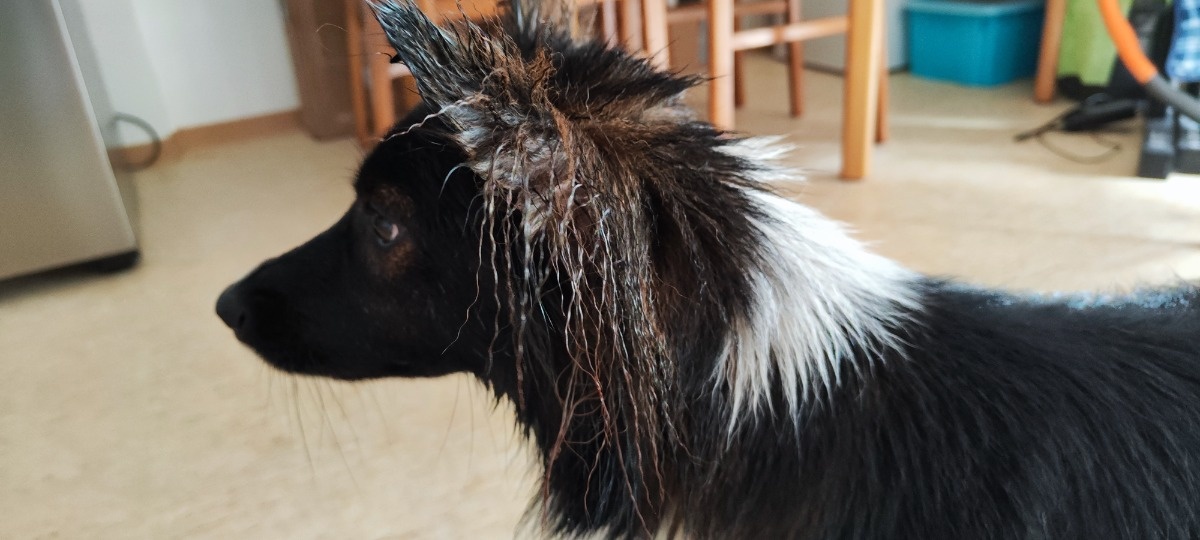 aeb046fa-363c-4939-89aa-9727372c6d5d