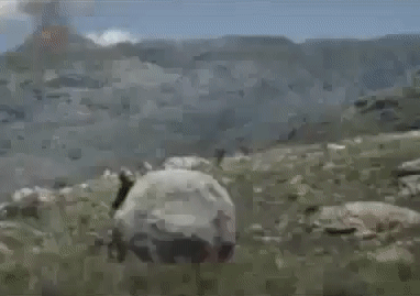 1e490f6a-0ae0-4cdf-9492-5b7c630d8ca3