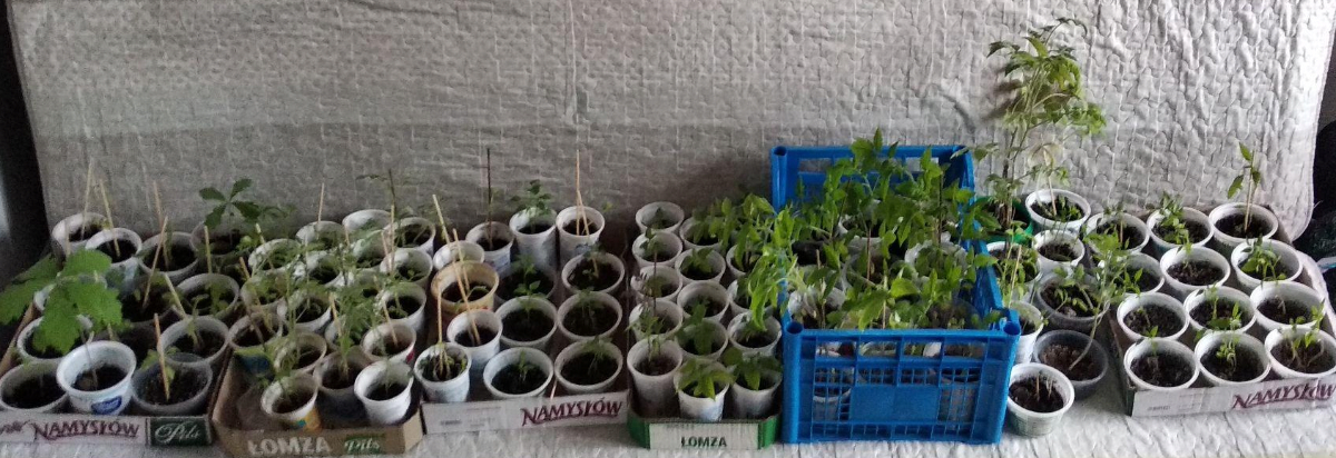 dbadef47-4ec6-43eb-ac93-ec811e5c7d0c