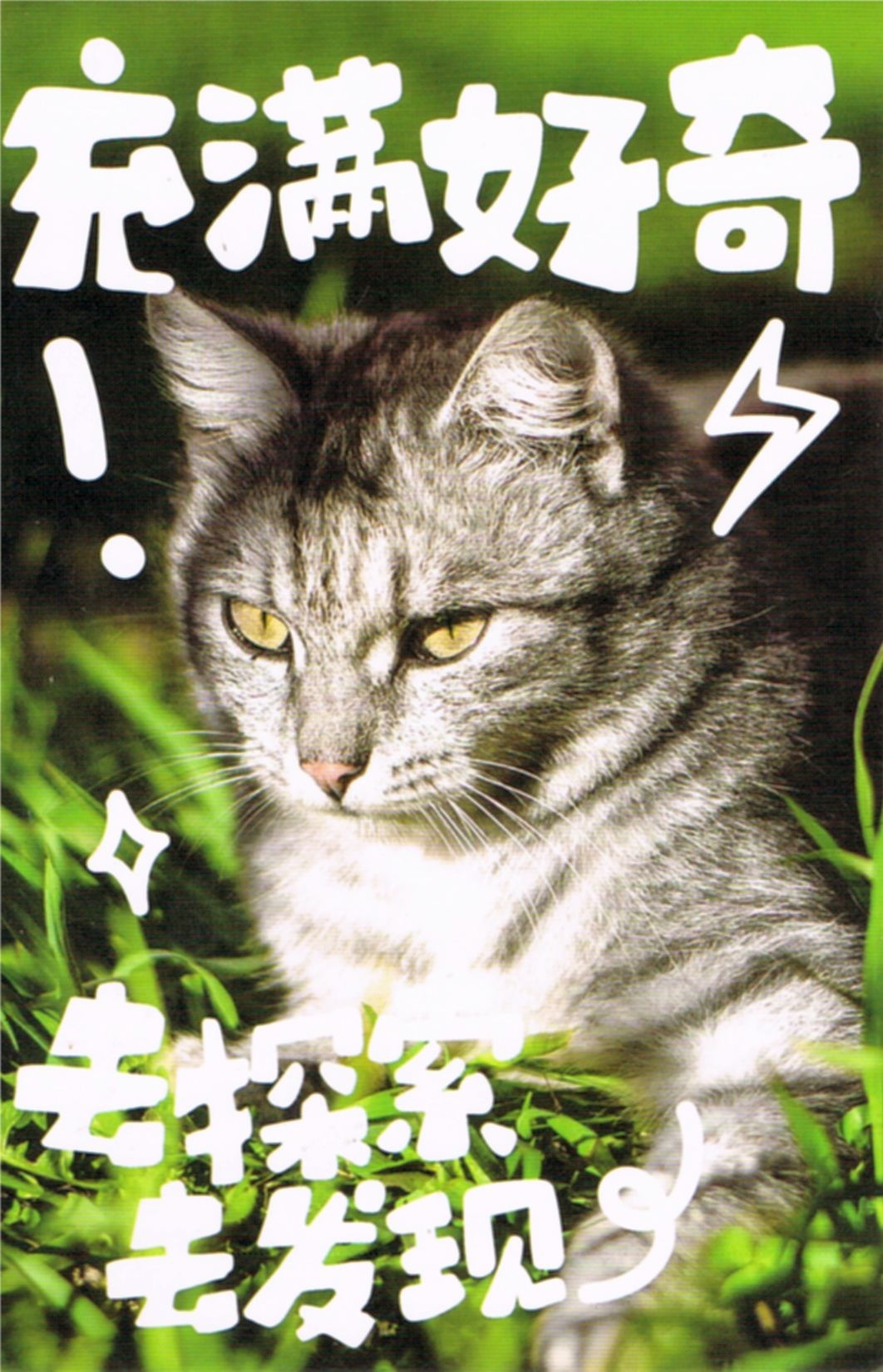 12b13422-9cf5-4bf9-b73c-b341bfe2469f