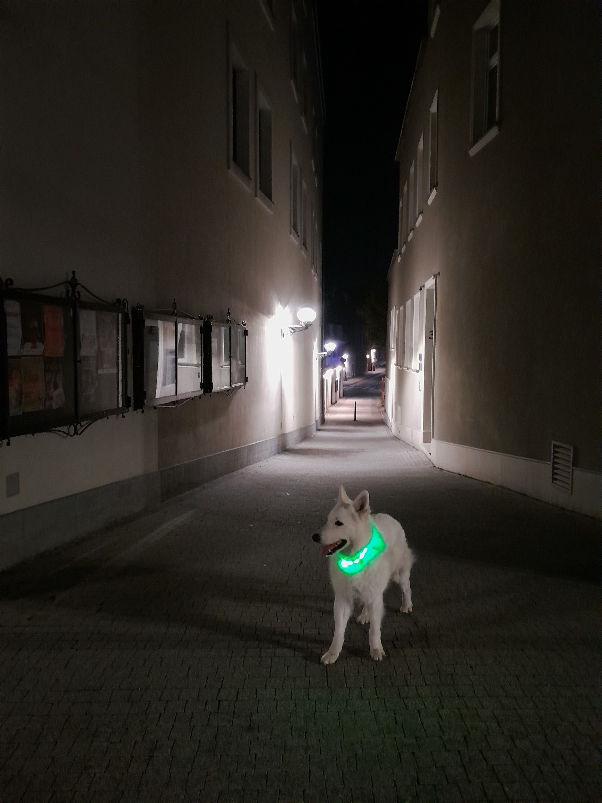 d5adaa07-285e-47e9-87ef-98b9a5053f70