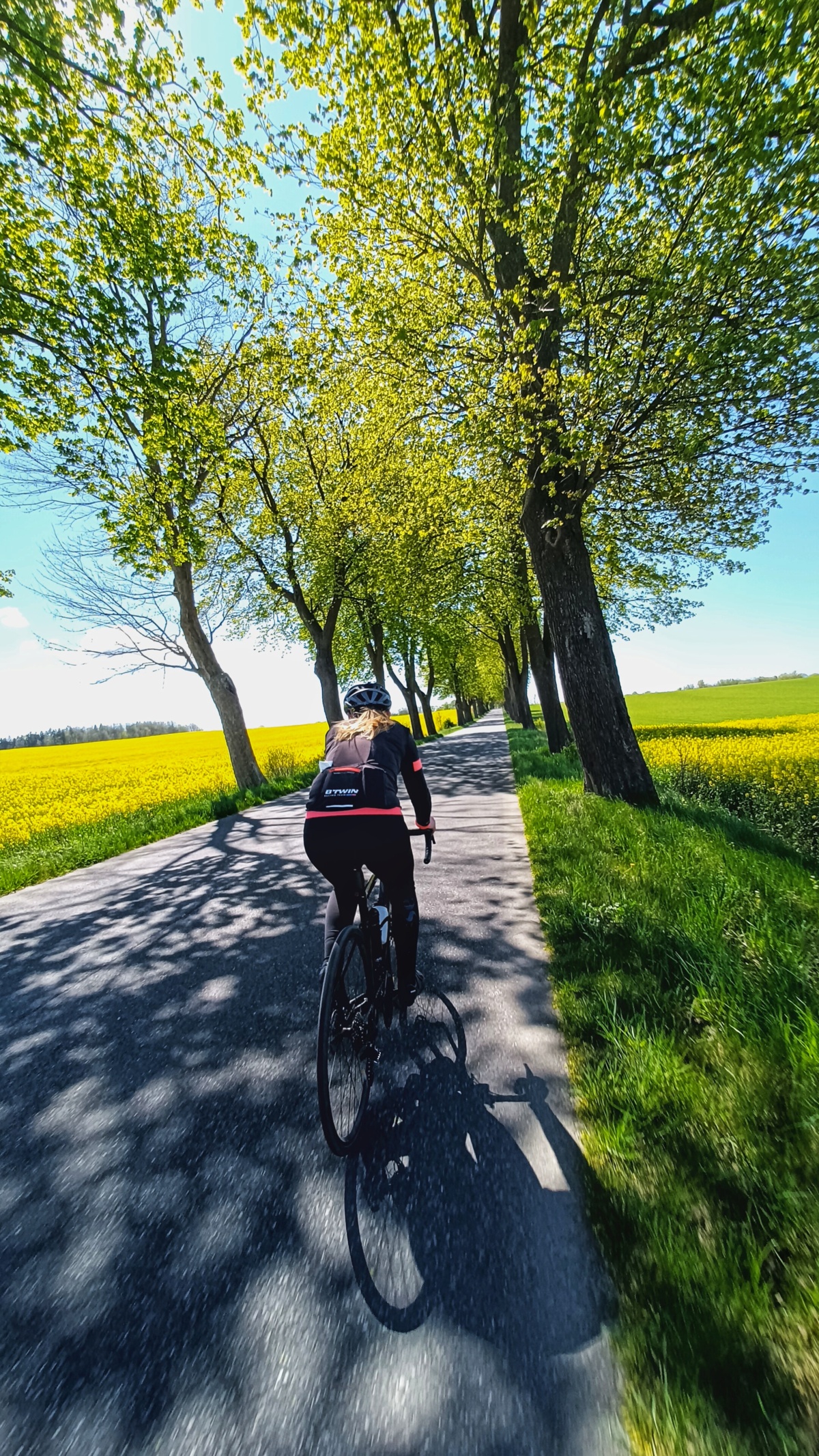 d485be84-faac-49e9-bff7-6eda3bea3ec4